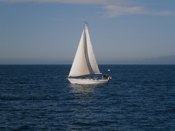 Passing Sailboat