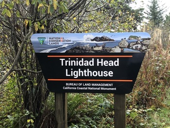 Trinidad Head Sign