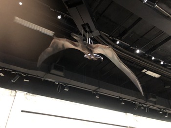 Pteradon on Ceiling Track